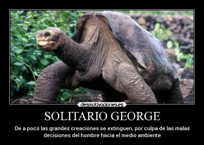 carteles medio ambiente desmotivaciones