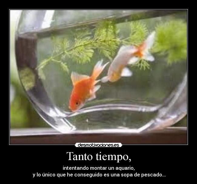Tanto tiempo, -