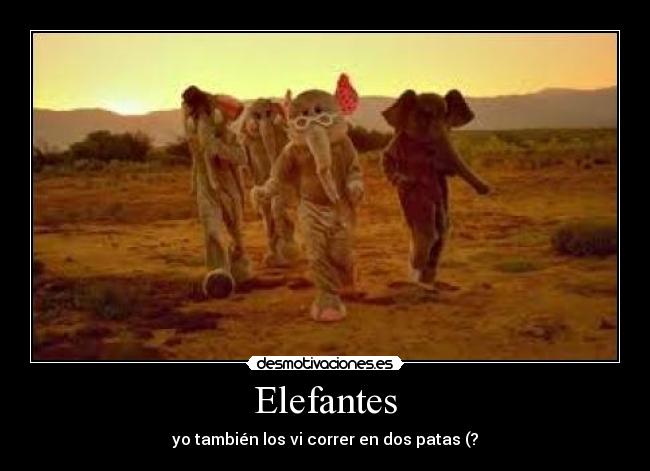 Elefantes - yo también los vi correr en dos patas (?