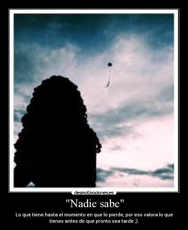 Nadie sabe - 