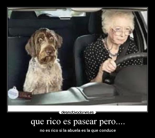 que rico es pasear pero.... - no es rico si la abuela es la que conduce