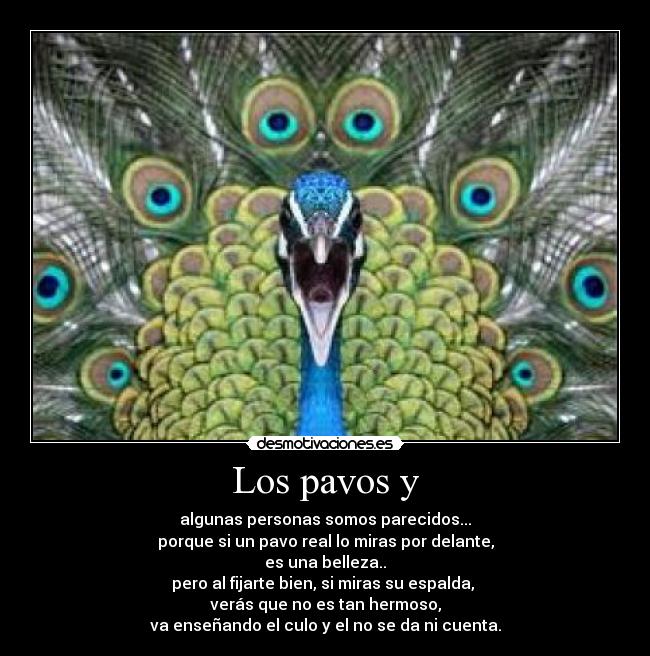 carteles pavos desmotivaciones