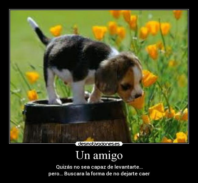Un amigo -
