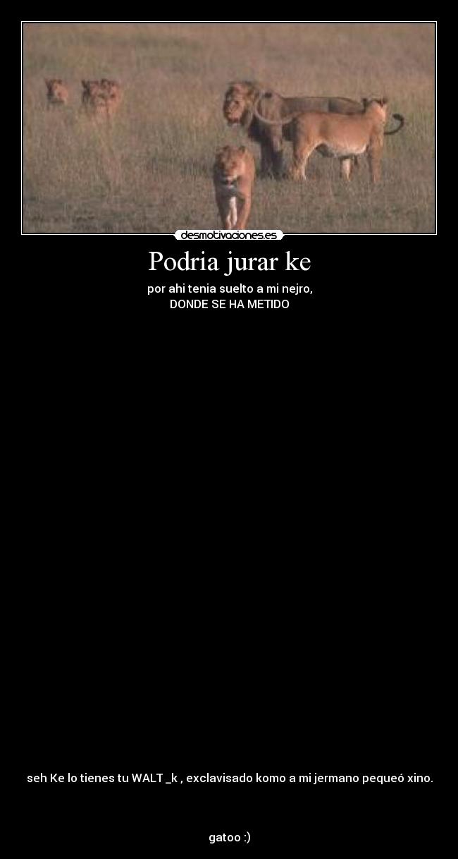 Podria jurar ke - por ahi tenia suelto a mi nejro,
DONDE SE HA METIDO
seh Ke lo tienes tu WALT _k , exclavisado komo a mi jermano pequeó xino.
gatoo :)
