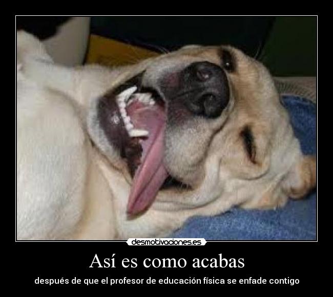 carteles colegio desmotivaciones