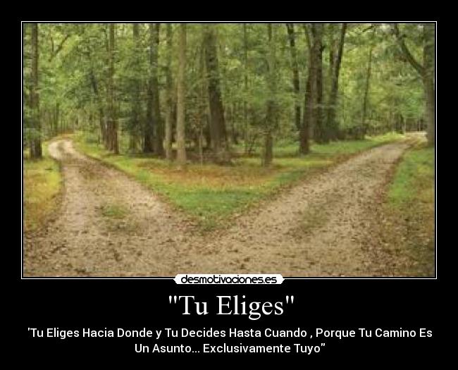 Tu Eliges - Tu Eliges Hacia Donde y Tu Decides Hasta Cuando , Porque Tu Camino Es
Un Asunto... Exclusivamente Tuyo