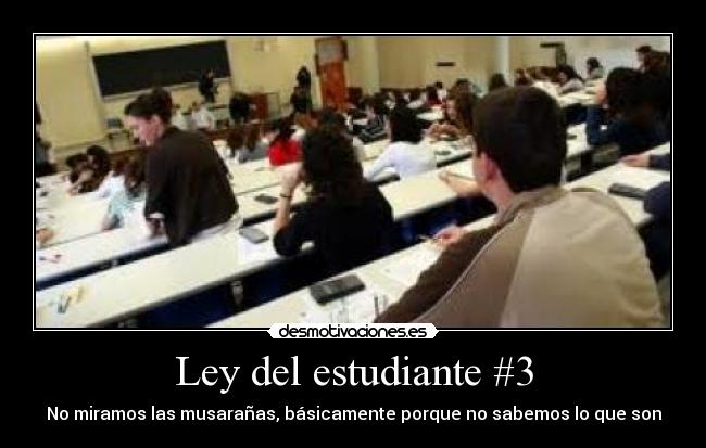 Ley del estudiante #3 - No miramos las musarañas, básicamente porque no sabemos lo que son