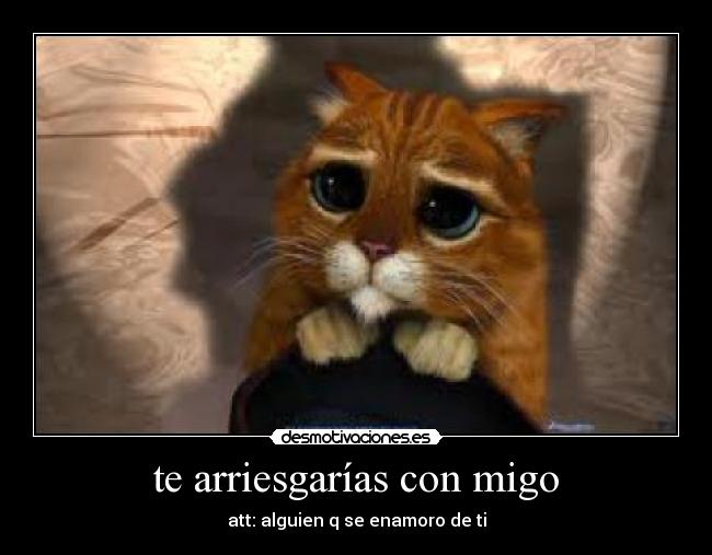 te arriesgarías con migo - att: alguien q se enamoro de ti