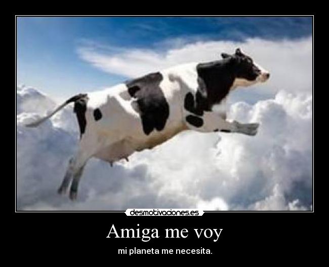 Amiga me voy - 