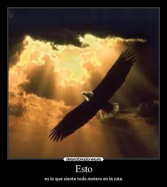 carteles ruta desmotivaciones