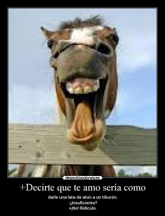 +Decirte que te amo sería como - darle una lata de atún a un tiburón.
-¿Insuficiente?
+¡No! Ridículo.