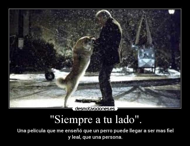 Siempre a tu lado. - 