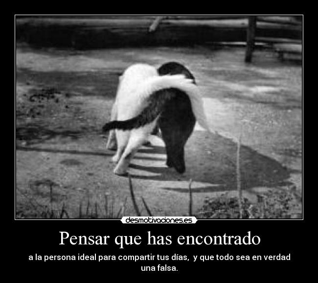 Pensar que has encontrado -