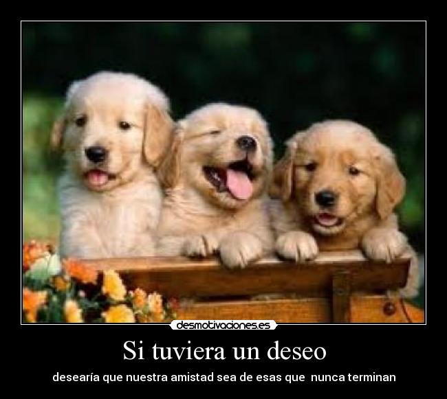 Si tuviera un deseo - 
