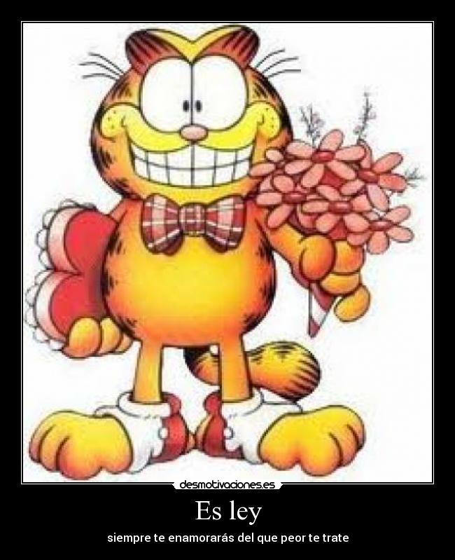 Es ley - siempre te enamorarás del que peor te trate