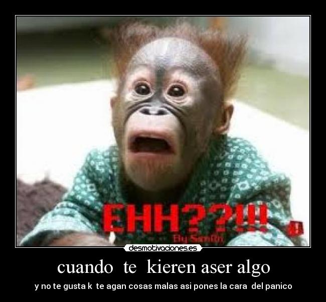 cuando te kieren aser algo - y no te gusta k te agan cosas malas asi pones la cara del panico
