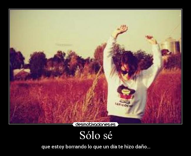 carteles lovepocholate desmotivaciones