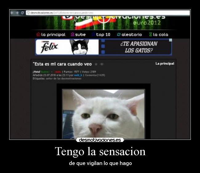 Tengo la sensacion - de que vigilan lo que hago