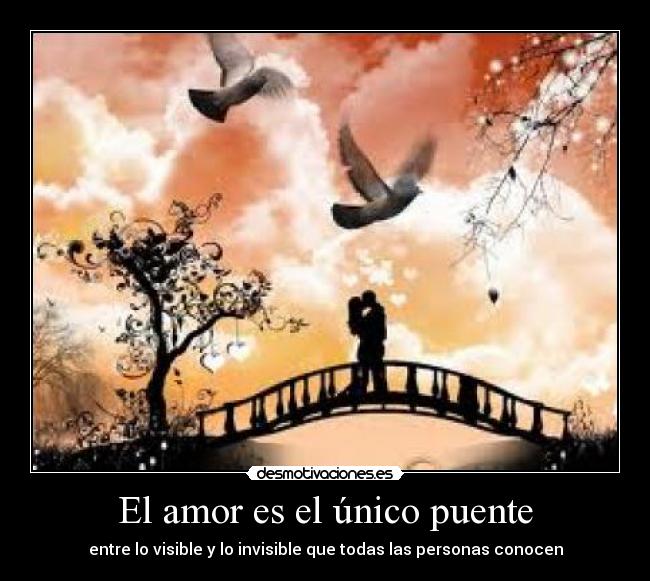 El amor es el único puente - 