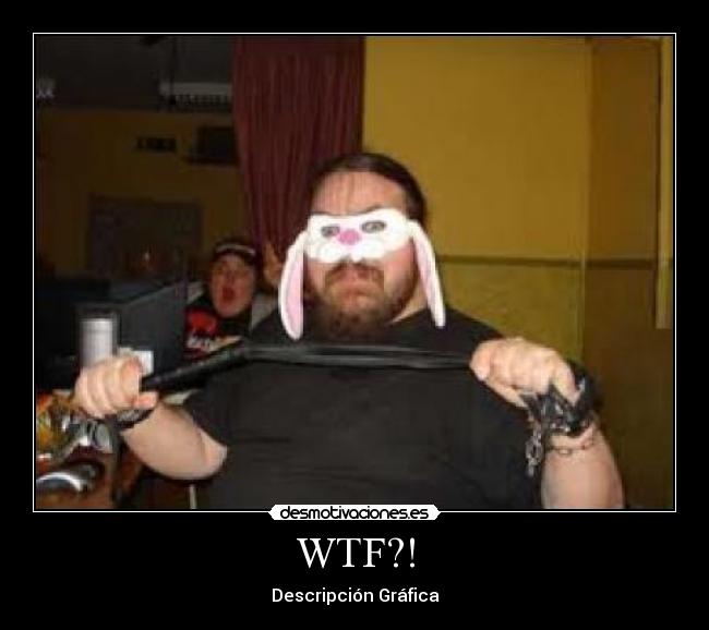 WTF?! - Descripción Gráfica