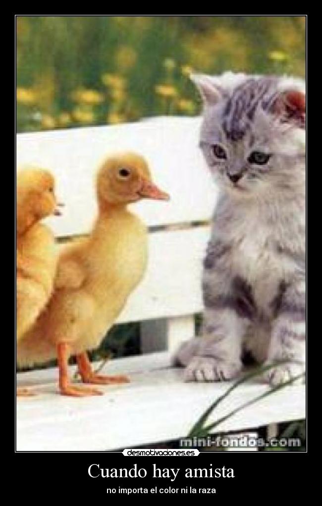 Cuando hay amista - no importa el color ni la raza