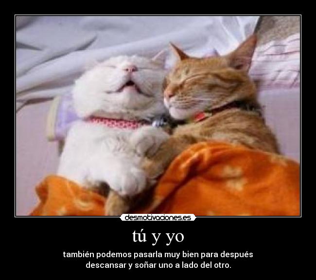 tú y yo - también podemos pasarla muy bien para después
descansar y soñar uno a lado del otro.