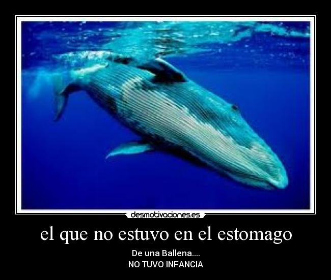 el que no estuvo en el estomago - De una Ballena....
NO TUVO INFANCIA