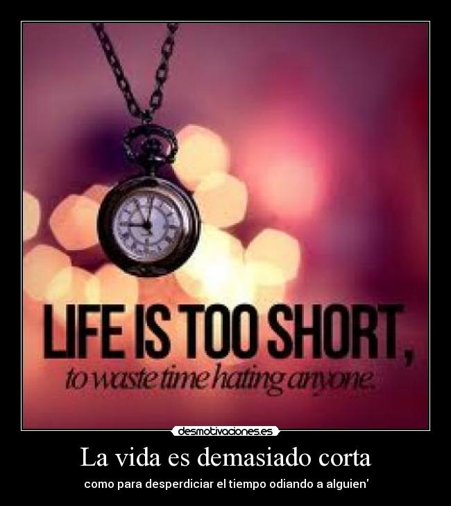 La vida es demasiado corta - 