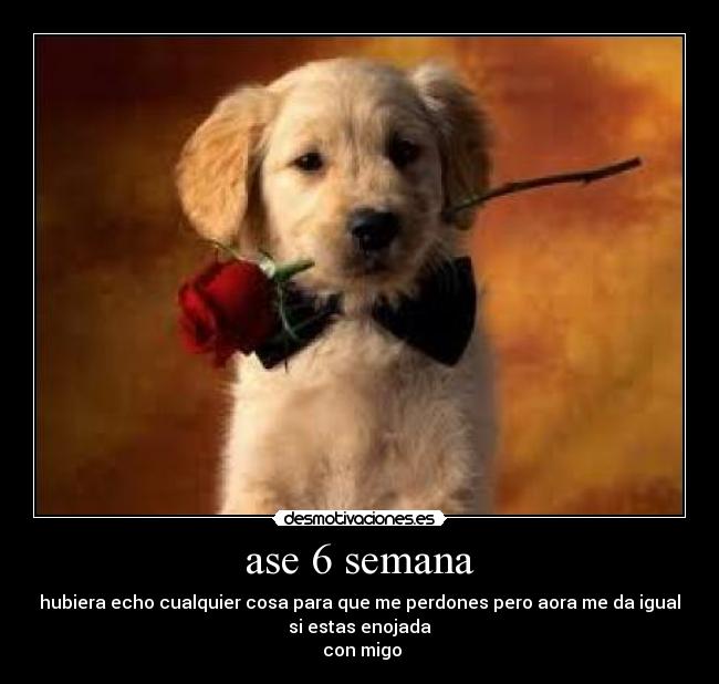 carteles ceee desmotivaciones