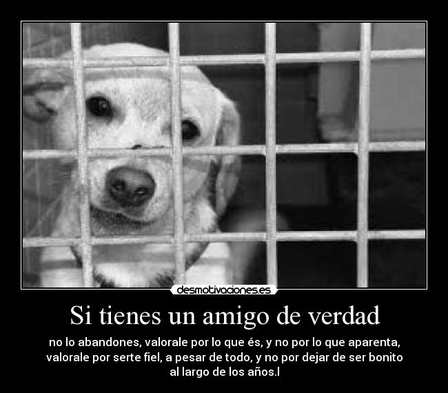 Si tienes un amigo de verdad -