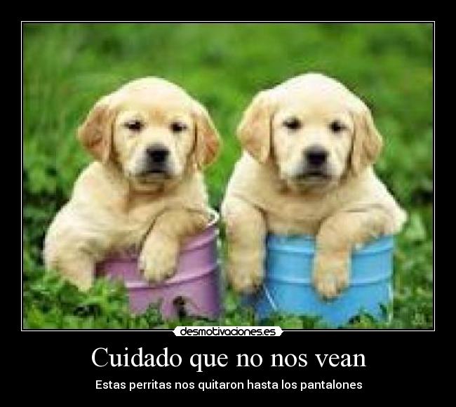 Cuidado que no nos vean - 