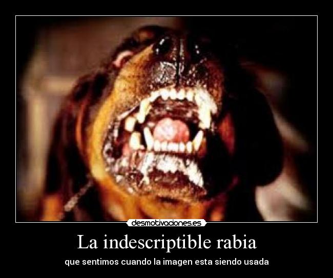 La indescriptible rabia - que sentimos cuando la imagen esta siendo usada