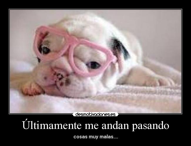 carteles lovepocholate desmotivaciones