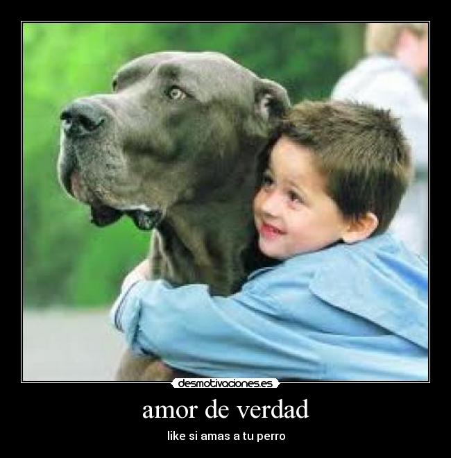 amor de verdad - 