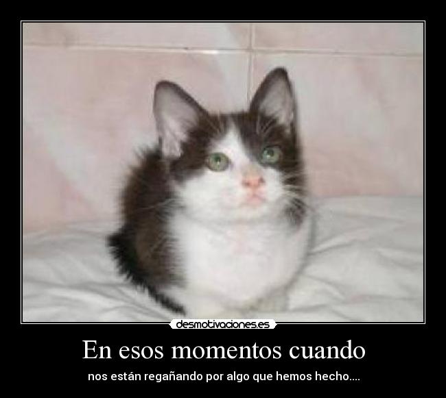 En esos momentos cuando - nos están regañando por algo que hemos hecho....