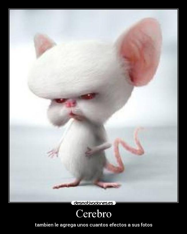 carteles cerebro desmotivaciones