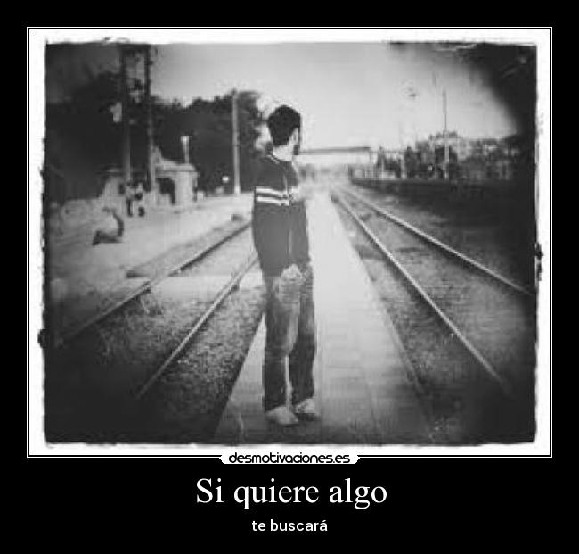 Si quiere algo - te buscará