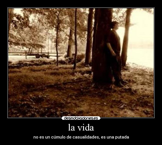 la vida - 