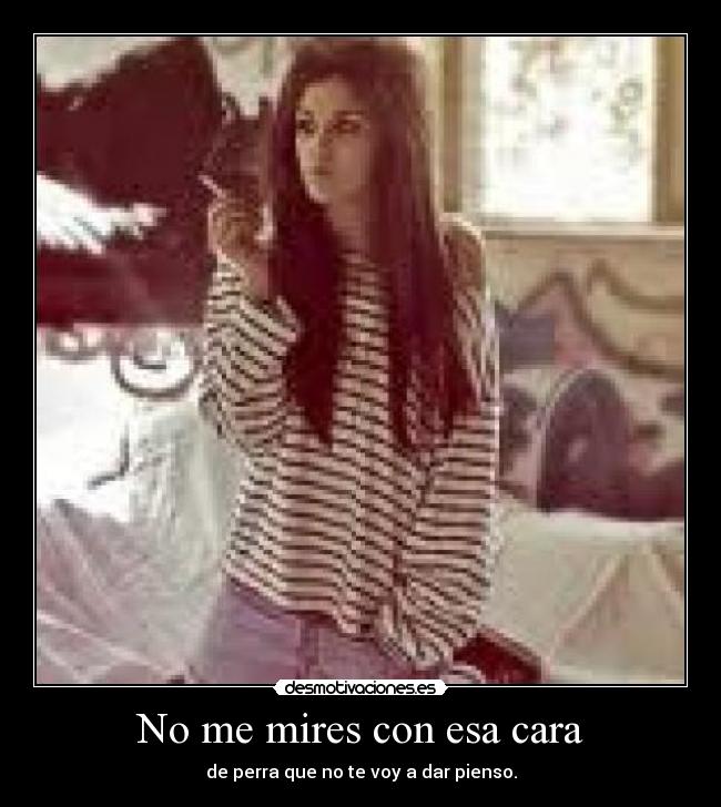 No me mires con esa cara - de perra que no te voy a dar pienso.