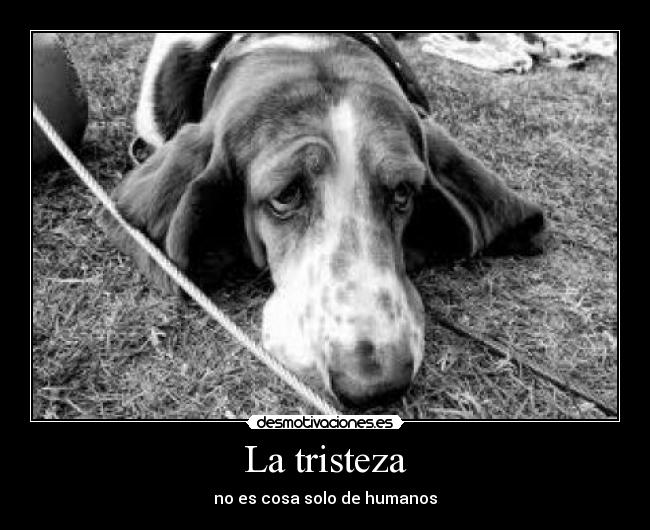 La tristeza - 