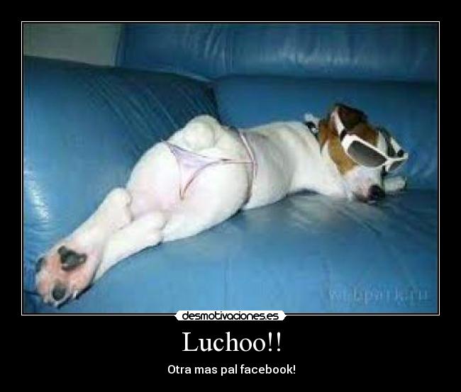Luchoo!! - 