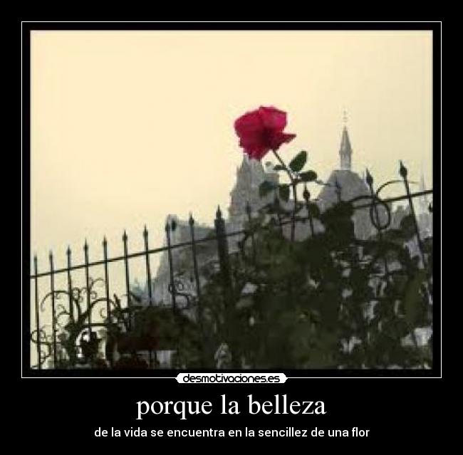 carteles gisela desmotivaciones