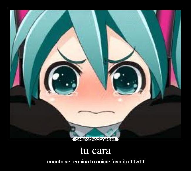 tu cara - cuanto se termina tu anime favorito TTwTT