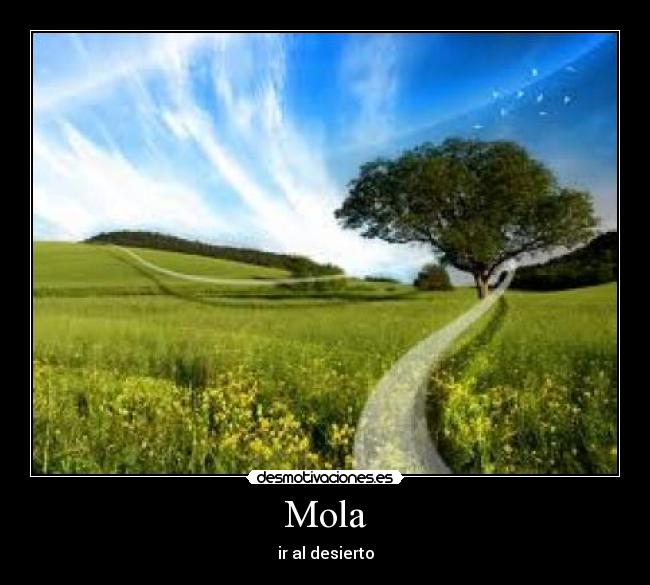 Mola - ir al desierto