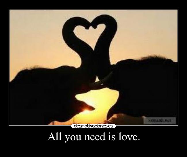 carteles all you need love desmotivaciones