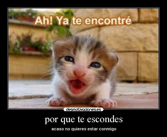 carteles diana grajales desmotivaciones