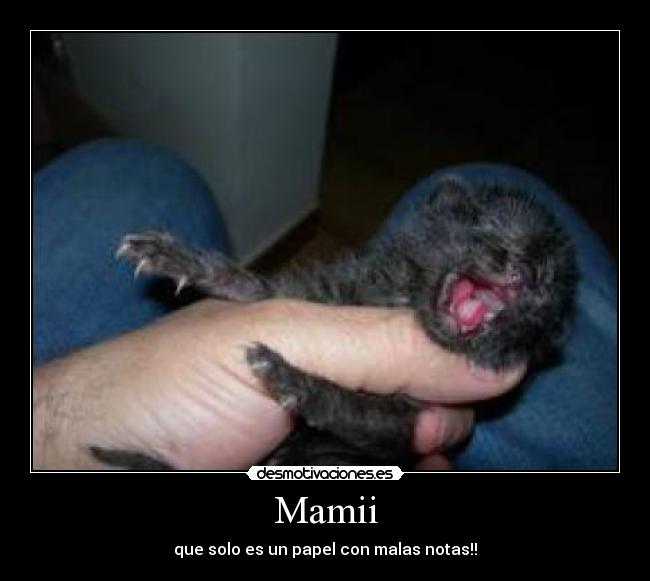 Mamii -