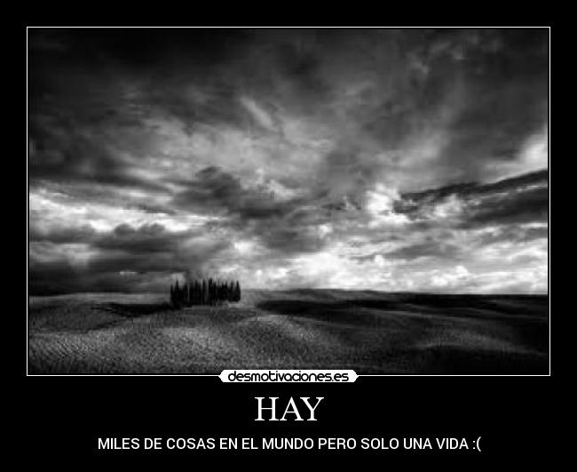 HAY - 