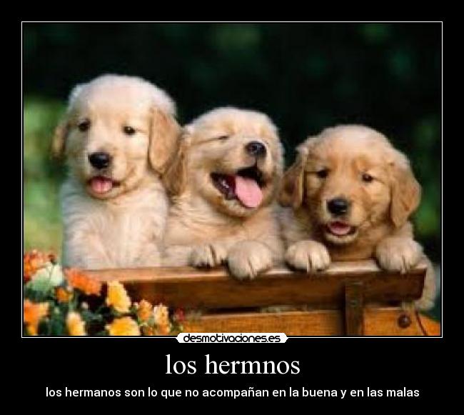los hermnos - los hermanos son lo que no acompañan en la buena y en las malas