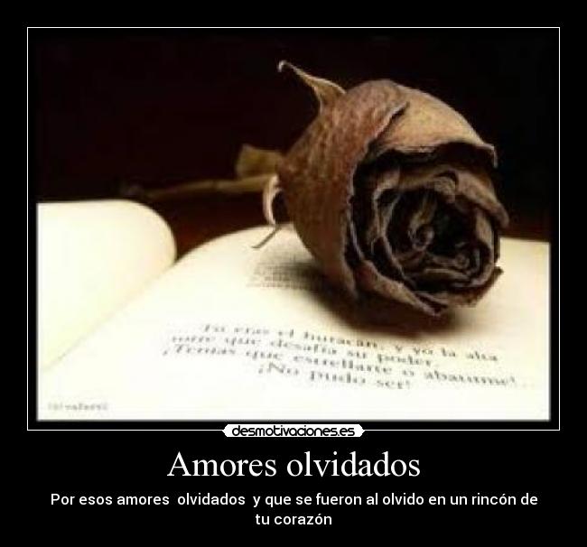 Amores olvidados - Por esos amores  olvidados  y que se fueron al olvido en un rincón de tu corazón